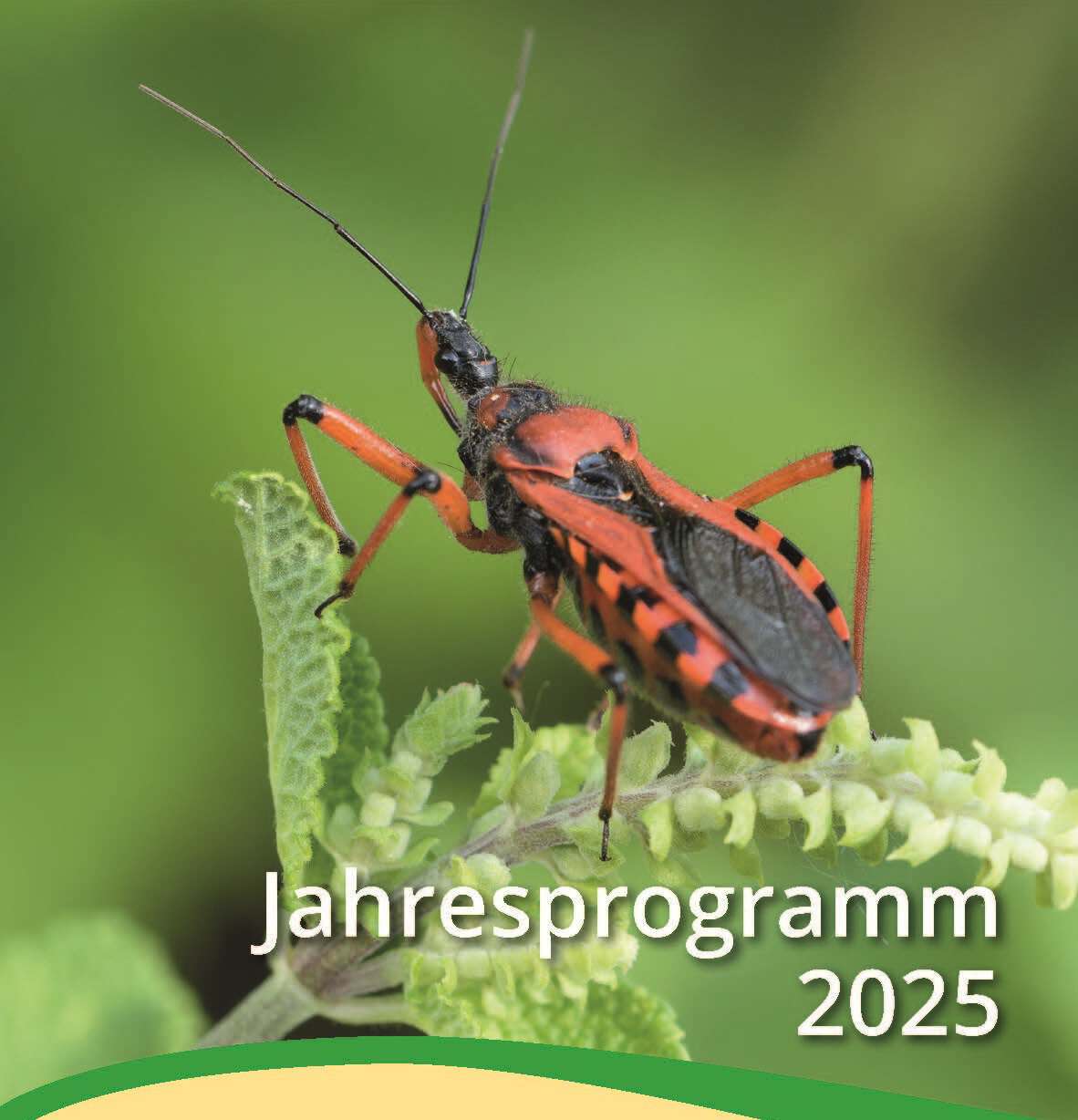Jahresprogramm "Der Natur auf der Spur" 2025